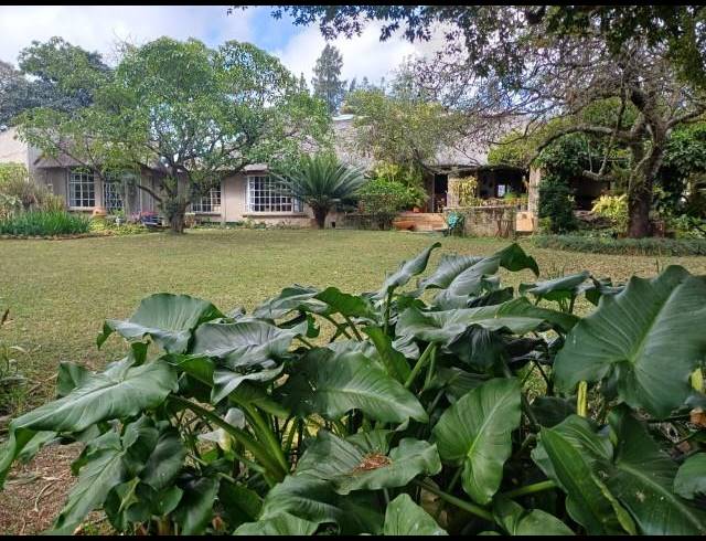 FARM FOR SALE IN LOUIS TRICHARDT RURAL
